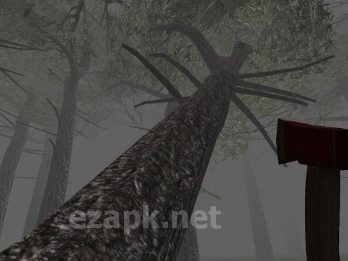 Trapped in the forest