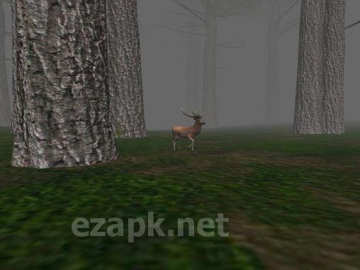 Trapped in the forest