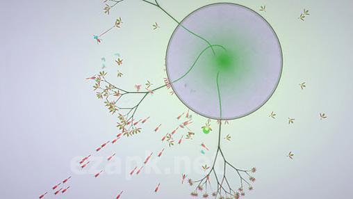 Eufloria