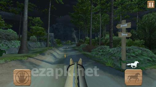 Pony trails