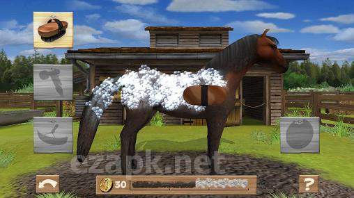 Pony trails