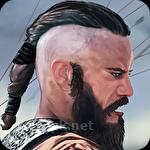 Vikings at war