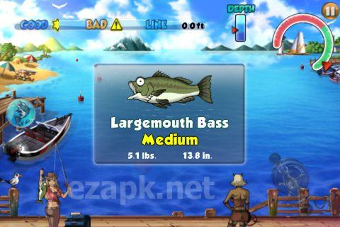 Big fish