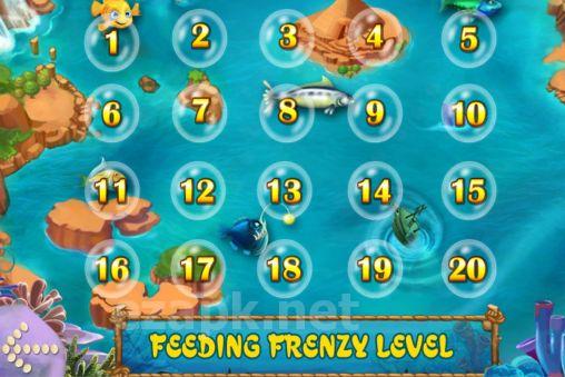 Feeding frenzy special