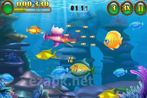 Feeding frenzy special
