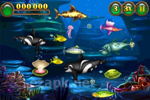 Feeding frenzy special