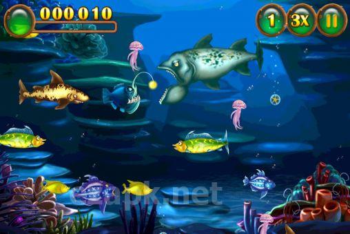 Feeding frenzy special
