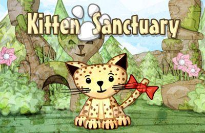Kitten Sanctuary