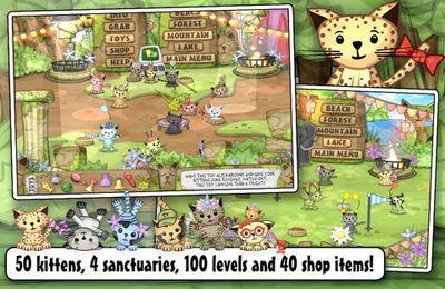 Kitten Sanctuary