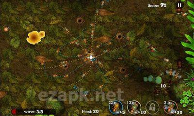 Anthill