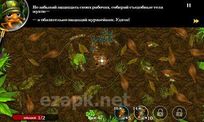 Anthill