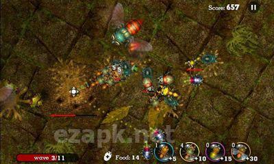 Anthill