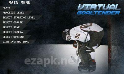 Virtual Goaltender