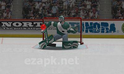 Virtual Goaltender