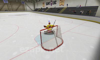 Virtual Goaltender
