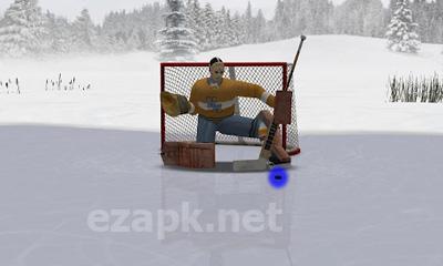 Virtual Goaltender