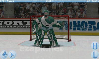 Virtual Goaltender