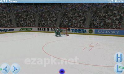 Virtual Goaltender