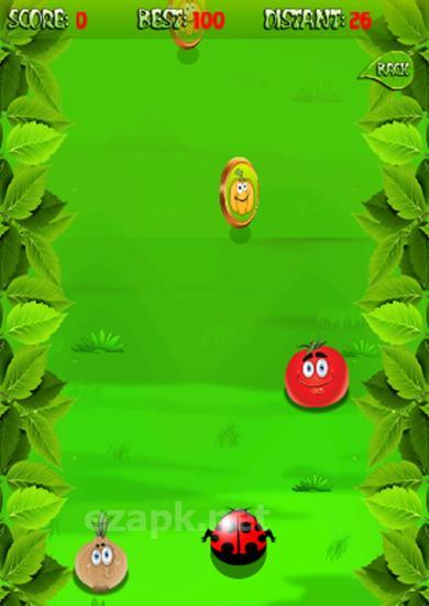 Ladybird run