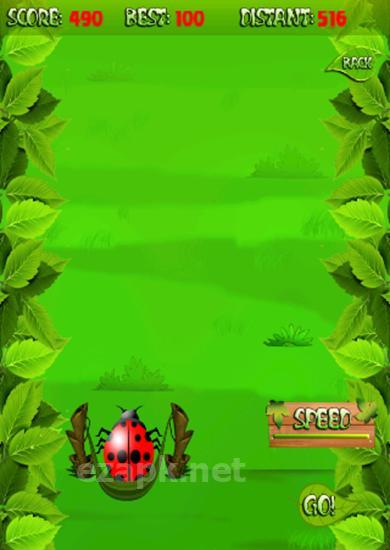 Ladybird run