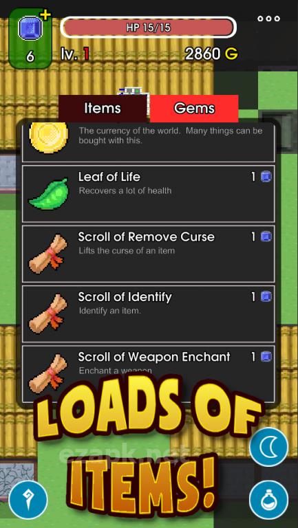 Looty Rogue - Mystery Dungeon