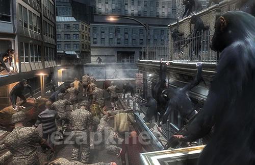 Life of apes: Jungle survival