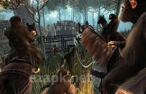 Life of apes: Jungle survival