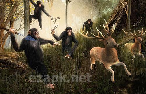 Life of apes: Jungle survival
