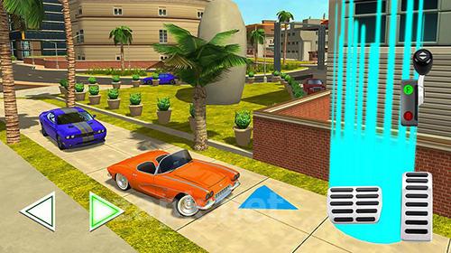 Detective driver: Miami files