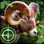 Wild hunter 3D