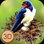 Swallow simulator: Flying bird adventure