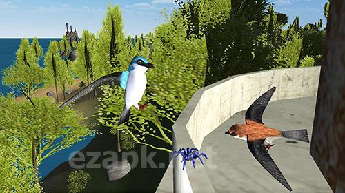Swallow simulator: Flying bird adventure