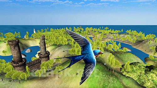 Swallow simulator: Flying bird adventure