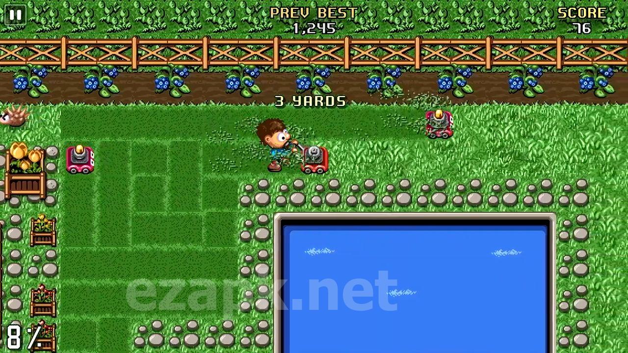 Sunday Lawn