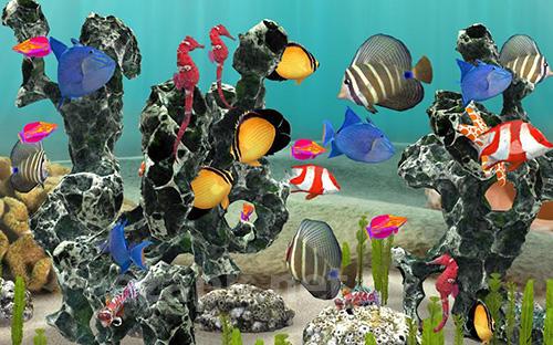 Fish farm 3: 3D aquarium simulator
