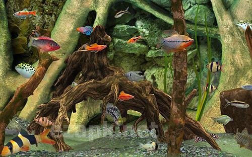Fish farm 3: 3D aquarium simulator