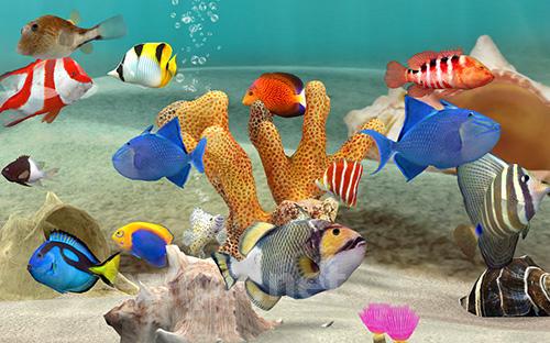 Fish farm 3: 3D aquarium simulator