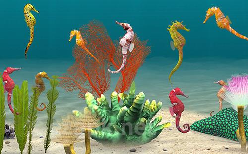 Fish farm 3: 3D aquarium simulator