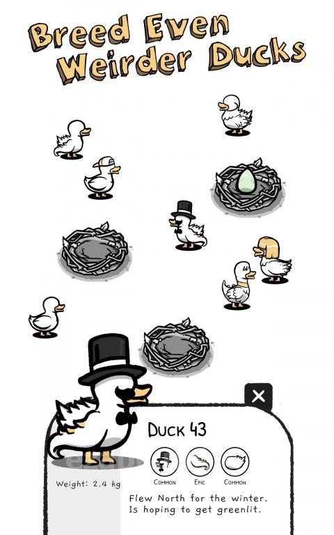 Clusterduck