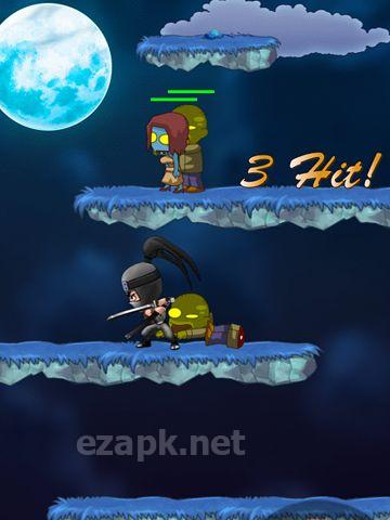 Last ninja