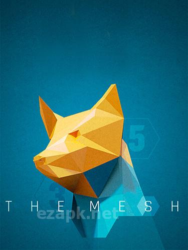 The mesh