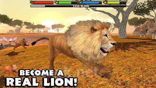 Ultimate lion simulator