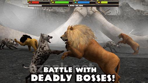 Ultimate lion simulator
