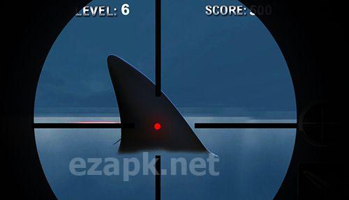 2016 shark spearfishing