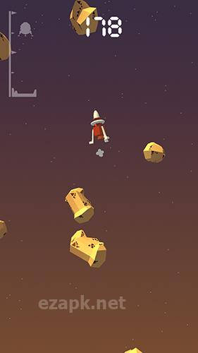 Lander pilot