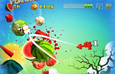 Angry Zombie Ninja VS. Vegetables