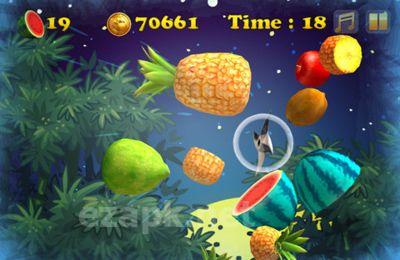 Angry Zombie Ninja VS. Vegetables