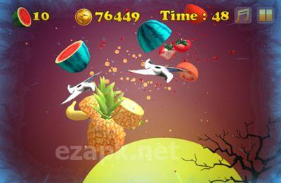 Angry Zombie Ninja VS. Vegetables