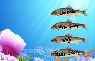 Fishing Champion