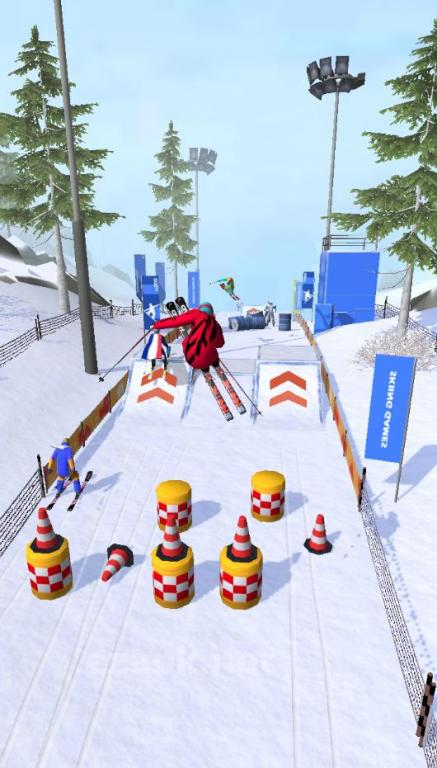 Ski Master
